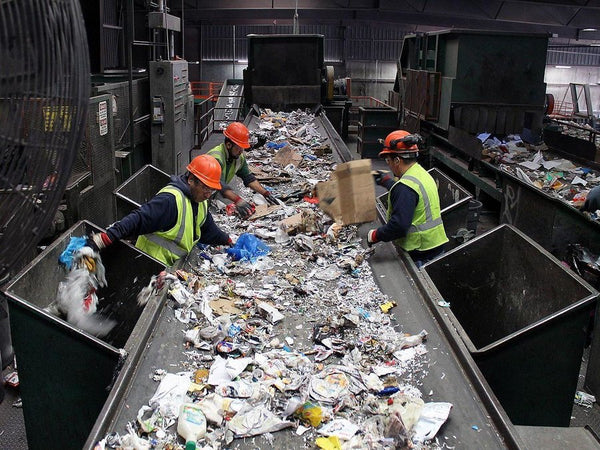 Waste conveyors hot sale