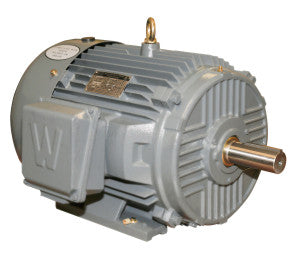 Electric Motors ~ low voltage AC